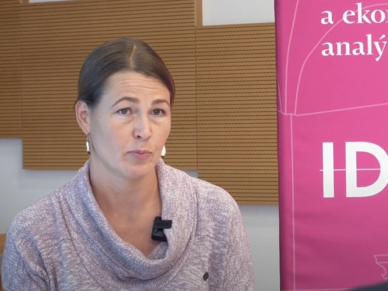 Byly kompenzace ztráty příjmů v pandemii&nbsp;dostatečné?